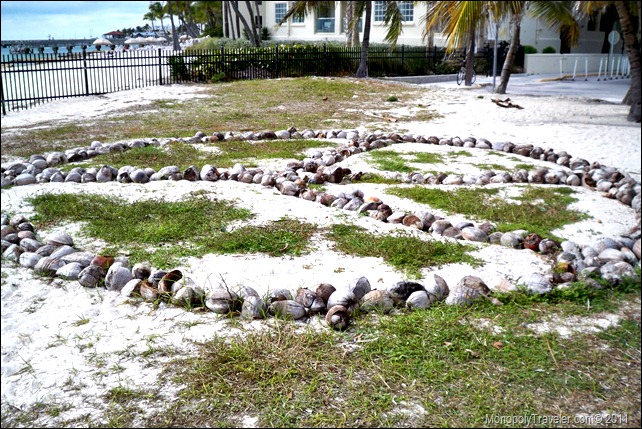 Peace sign made out of coconuts in Key West