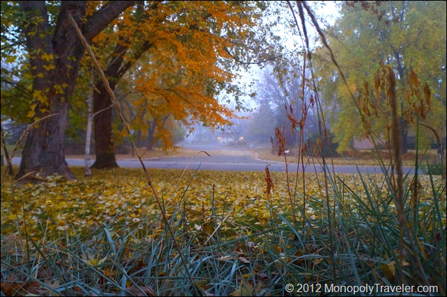 A Foggy Fall Morning