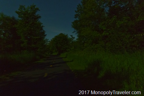 Fireflies following the trail home