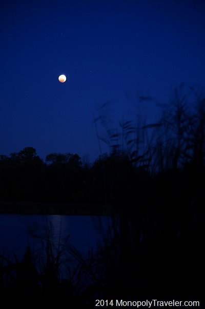 Blood Moon In the Night Sky