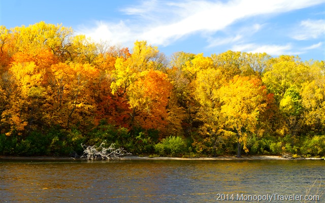 Amazing Maple Fall Colors Along the Water