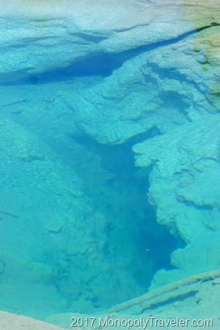 Interesting shapes and colors of some of the Yellowstone hot springs