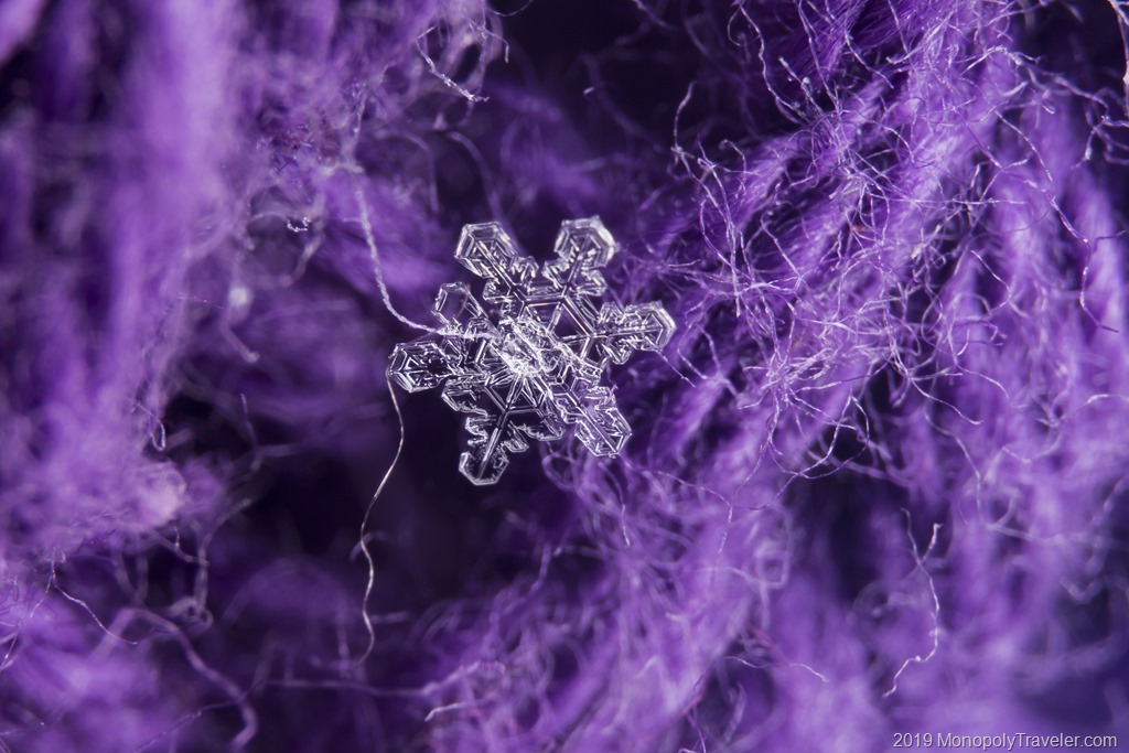 snowflakes-are-amazing-gaining-life-experience