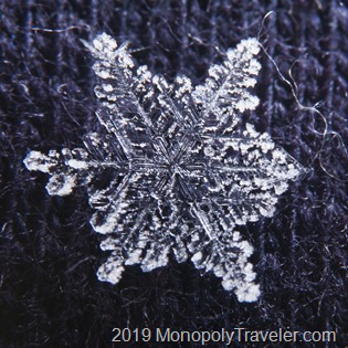 Snowflake edged in white frost