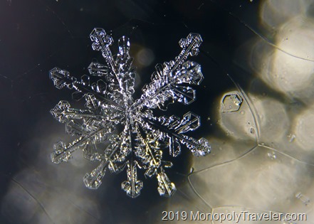 Snowflake with many arms