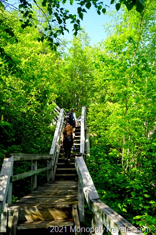 The stairs of health and fitness climbing up from the lake to the nearby ridge