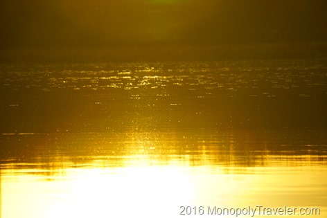 A beautiful golden glow close to sunset
