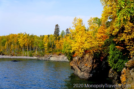 One of the beeches along Lake Superior showing nice fall colors
