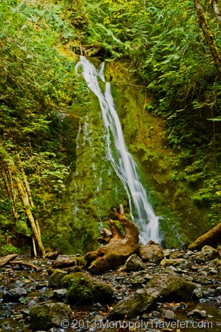 Madison Falls by the Elwha River