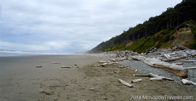 Sandy Beach Littered with Logs