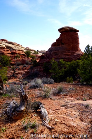 Some of the scenery along the roadside in Canyonlands