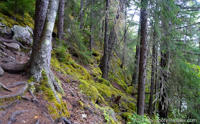 The Rugged Yet Beautiful Chilkoot Trail