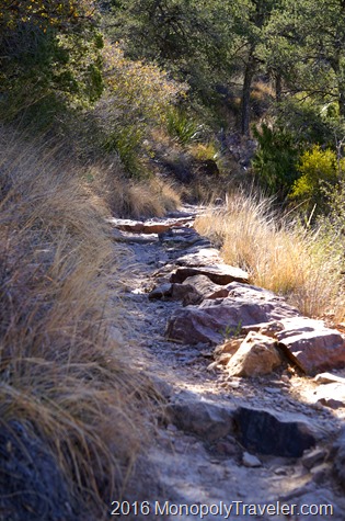 The rocky Lost Mine Trail