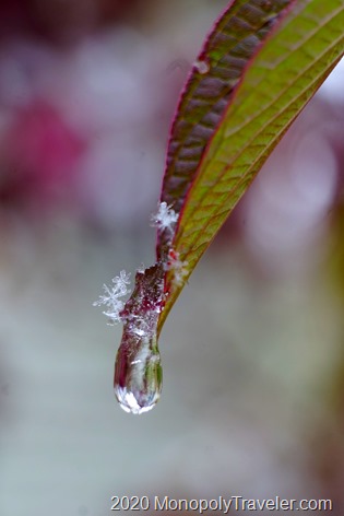 From snowflakes to waterdrops