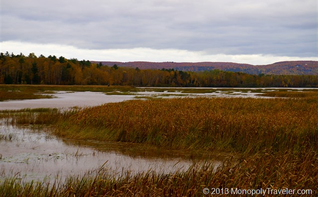 Some of the Wetland Areas