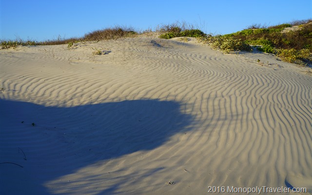 Sandy dunes shaped by ocean breezes