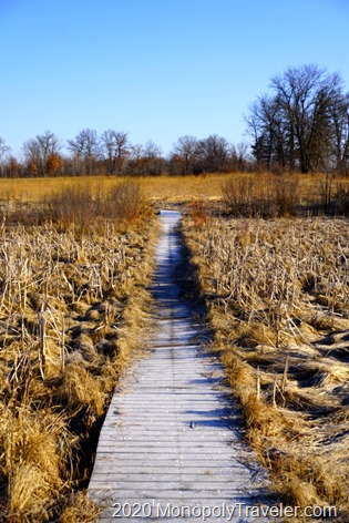 A frosty spring morning on the trail
