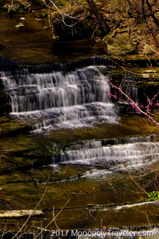 The upper portion of Clifty Falls