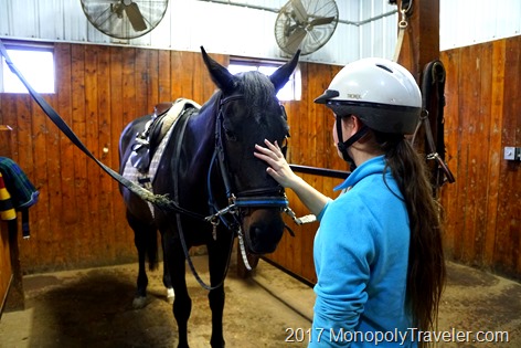 A rider connecting with her horse before going into the riding arena