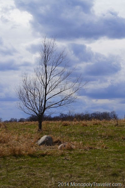 A Lone Tree on the Prairie taken with An Interchangeable Lens Camera