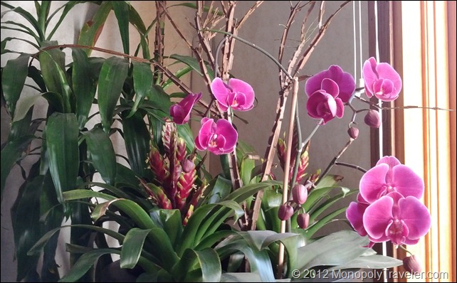 Purple Orchid Loaded with Flowers
