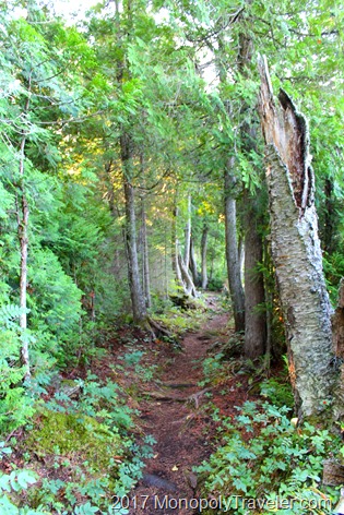 A portion of the beautiful trails on Isle Royale
