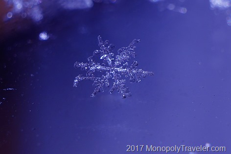 A single snowflake glistening in light