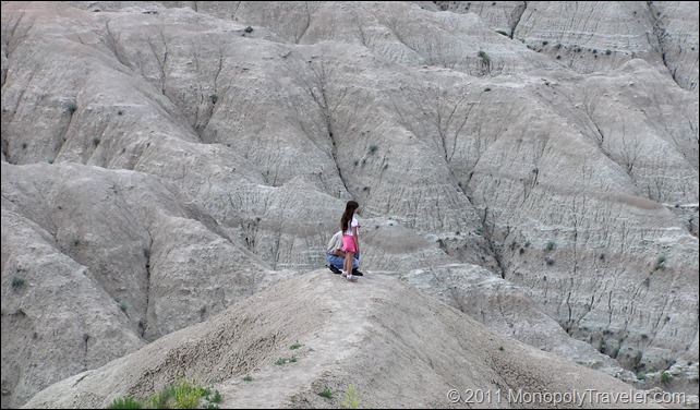 Looking Over the Badlands